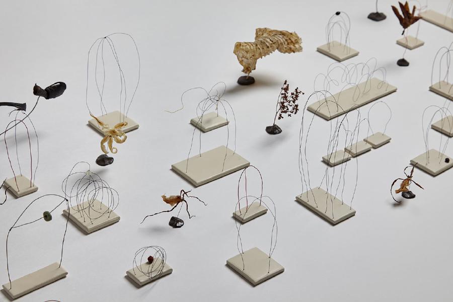 2015/2016, wire, paint, clay, and plant material, dimensions variable