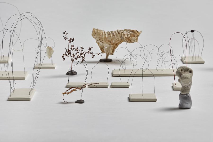 2015/2016, wire, paint, clay, and plant material, dimensions variable