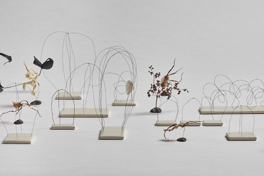 2015/2016, wire, paint, clay, and plant material, dimensions variable