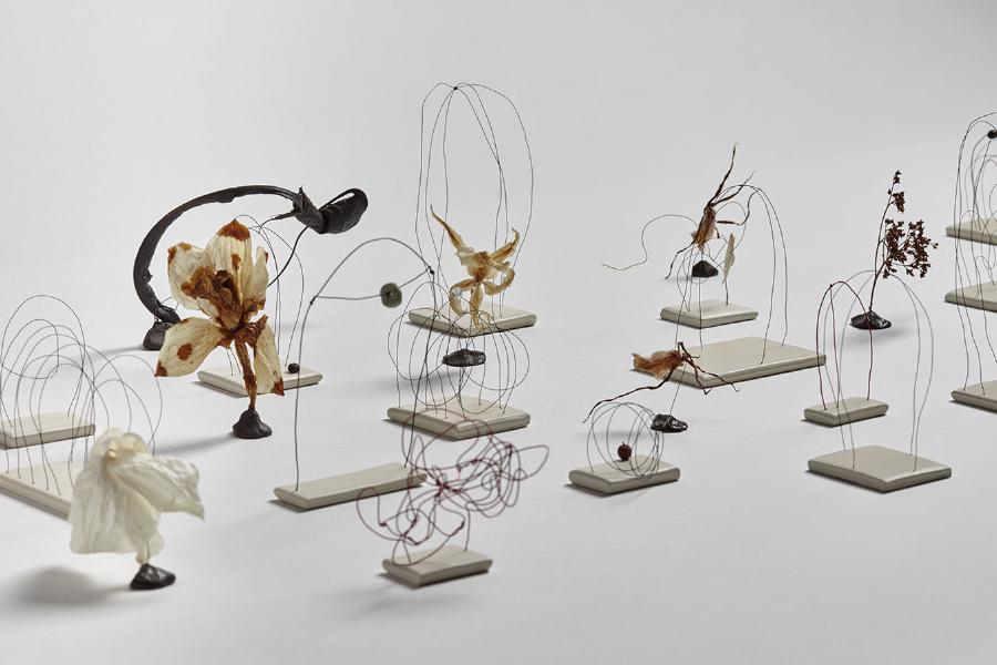 2015/2016, wire, paint, clay, and plant material, dimensions variable