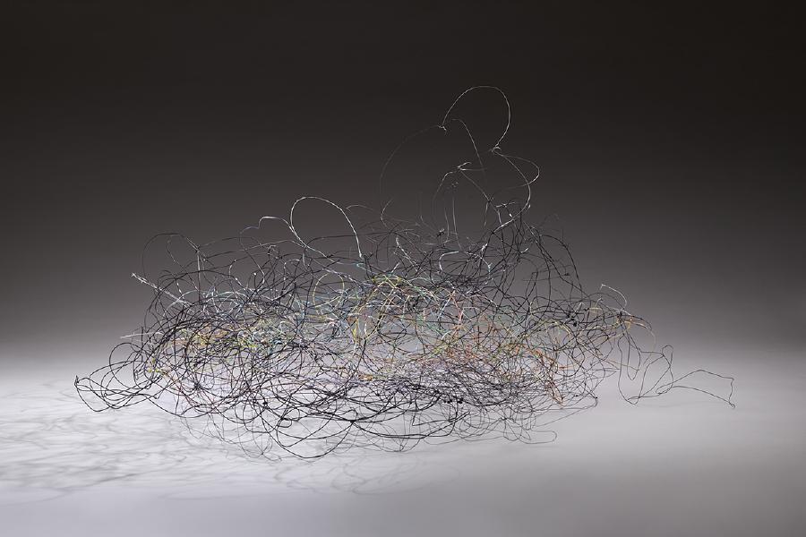 2017, wire, paint and berries, 17 x 31 x 31"