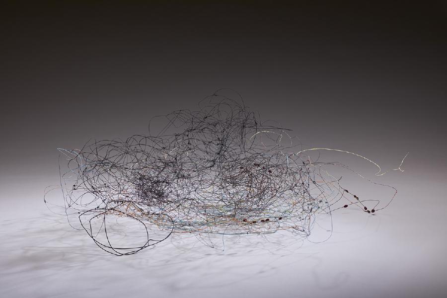 2017, wire, paint and berries, 11 x 27 x 25"
