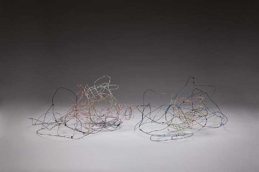 2017, wire, paint and berries, 10 x 27 x 24" each