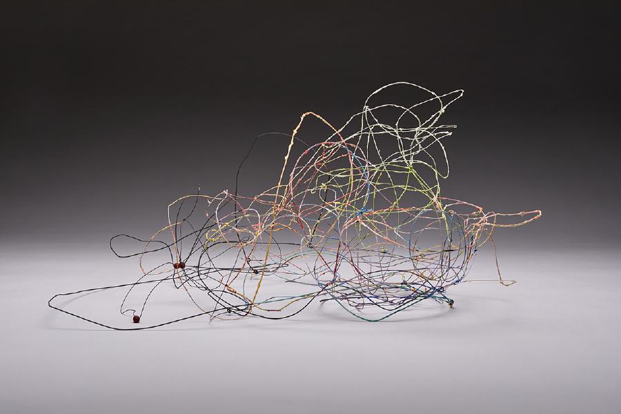 2017, wire, paint and berries, 10 x 27 x 24"
